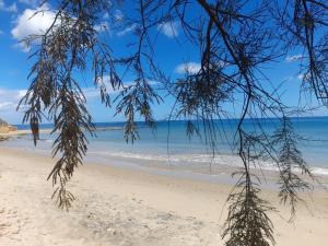a view of the beach from under a tree at Tra Vento e Mare in Lendinuso