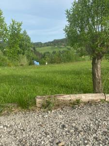 Foto dalla galleria di Domki Zielone Wzgórze 606-819-046 a Polańczyk