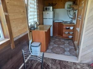 a small kitchen with a refrigerator and a table at Садиба Федорчуків За рікою1 in Sheshory