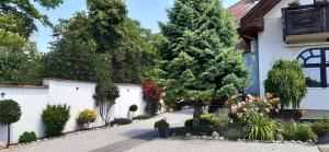 Biały dom z drzewem i podjazdem w obiekcie Art Galéria Apartman w Gyenesdiás
