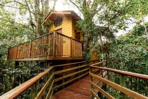a wooden walkway leading to a tree house at Tominejo Ecolodge Casas en los árboles in Neira