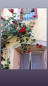 un montón de rosas rojas creciendo en una ventana en Casa di sotto, en Giratola
