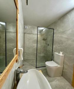 a bathroom with a toilet and a sink and a shower at Guesthouse Vitoria - Mrizi i Zanave in Fishtë