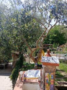 Un árbol con un cartel junto a un banco. en Casa di sotto, en Giratola