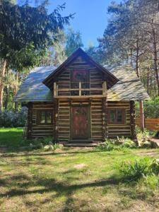 an old log cabin with a door in the yard at Dzwonkarnia Wyjątkowy domek w lesie in Dzwonkowice
