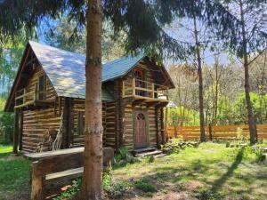 a log cabin in the woods with a tree at Dzwonkarnia Wyjątkowy domek w lesie in Dzwonkowice