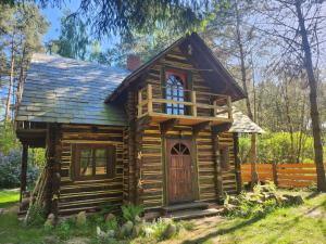 uma pequena cabana de madeira com uma janela e uma porta em Domek w lesie Dzwonkarnia 