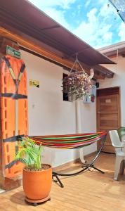 聖吉爾的住宿－Hostal Colombian Gold，天井上的冲浪板和吊床
