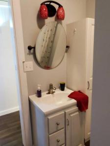 uma casa de banho com um lavatório e um espelho em Valley View Cabin - Buffalo Point em Maumee