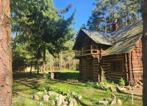 uma velha cabana de madeira no meio de um quintal em Domek w lesie Dzwonkarnia 