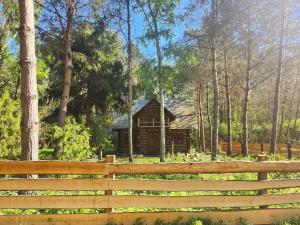 a log cabin in the woods behind a fence at Dzwonkarnia Wyjątkowy domek w lesie in Dzwonkowice