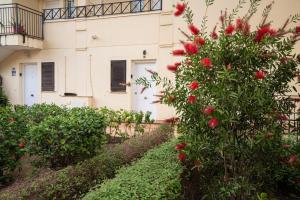 Zahrada ubytování Beach House ELVIRIA