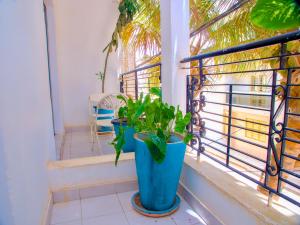 une plante en pot bleu assise sur un balcon dans l'établissement Dakar International House, à Dakar