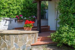 Zahrada ubytování B&B Hibiscus