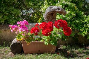 Zahrada ubytování B&B Hibiscus