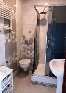 a bathroom with a shower and a toilet and a sink at Noclegi Centrum in Jelenia Góra