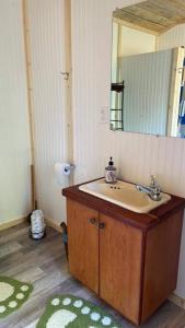 a bathroom with a sink and a mirror at Camping Cabin with private Bathroom in Maumee