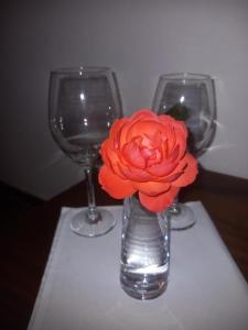 um vaso com uma flor dentro ao lado de dois copos de vinho em Suítes Mathias flat em Conservatória