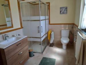 a bathroom with a shower and a toilet and a sink at Villa Sara in Ribadeo +14 photos