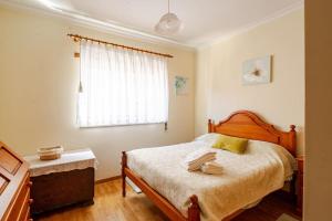 - une chambre avec un lit et une fenêtre dans l'établissement Remédios Apartment, à Lamego