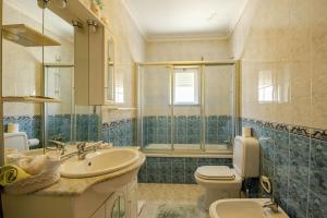 een badkamer met een wastafel, een toilet en een spiegel bij Remédios Apartment in Lamego