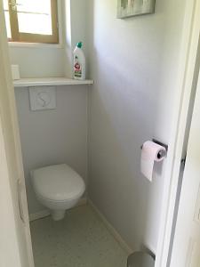 uma casa de banho com um WC e um rolo de papel higiénico em Chalet Loire proche Sancerre em Cosne Cours sur Loire