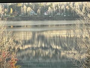 PohénégamookLe Jarret Noir! Chalet NEUF en nature SPA/Vue Lac的相册照片