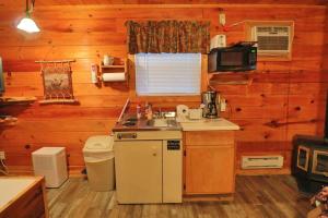 Η κουζίνα ή μικρή κουζίνα στο Alpine Mountain Sweetheart Cabin Jacuzzi #7