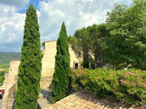 a group of three trees in front of a building at Le Petit Jardin in Sablet
