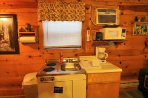 a small kitchen with a sink and a stove at Alpine Mountain Sweetheart Cabin Jacuzzi #8 in Helen