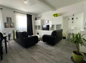 a living room with two chairs and a table at Košava in Golubac