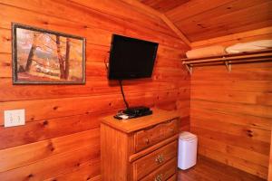 Cette chambre dispose d'une télévision sur un mur en bois. dans l'établissement Mountain Cabin 2B Jacuzzi #10, à Helen