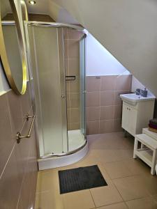 une salle de bain avec douche et lavabo dans l'établissement Ķērpji, à Ulmale 37 autres photos