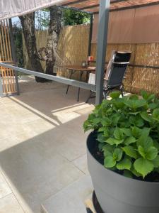 Fotografie z fotogalerie ubytování Studio Vitalis v Rovinji