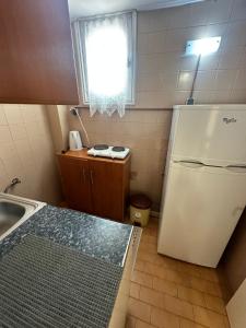 a kitchen with a white refrigerator and a sink at Nikos Holidays Apartment 1 in Petra