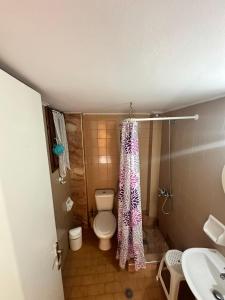a small bathroom with a toilet and a sink at Nikos Holidays Apartment 1 in Petra +10 photos