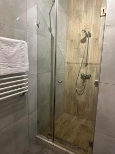 La salle de bains est pourvue d'une douche et d'une porte en verre. dans l'établissement Mastersclub, à Ternopil