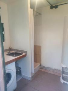 a bathroom with a sink and a toilet at Camp marsac in Saint-Thurial