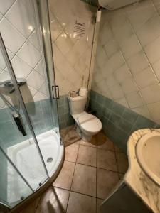 een badkamer met een toilet, een douche en een wastafel bij vue mer Studio 2/3 pers 1 bed + 1 cot in Farinole