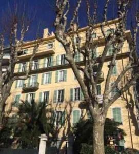 a large building with a tree in front of it at Riquier Résidence in Nice