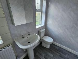 a bathroom with a sink and a toilet and a mirror at Brunswick Park Shared House in Wednesbury