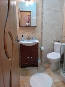 uma casa de banho com um lavatório e um WC em Ap Hector em Mamaia Nord – Năvodari