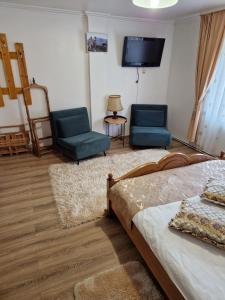 ein Wohnzimmer mit 2 blauen Stühlen und einem TV in der Unterkunft Casa Pojorâta in Pojorîta