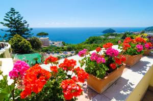 a bunch of flowers on a balcony overlooking the ocean at Hotel Terme Saint Raphael in Ischia