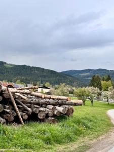 a pile of logs on the side of a field at Haus Gruber - Valentina & Gabriel in der Waldheimat in Krieglach