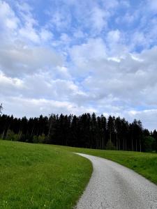 a gravel road leading through a field with trees at Haus Gruber - Valentina & Gabriel in der Waldheimat in Krieglach