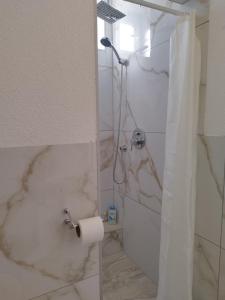 La salle de bains est pourvue d'une douche et d'un rouleau de papier toilette. dans l'établissement Apartments Matijevic, à Grabovac