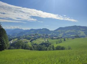 un campo verde con árboles y montañas al fondo en Ferienwohnung Großalber, en Maria Neustift