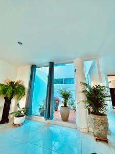 Habitación con macetas y ventana grande. en Casa Jardin en Cartagena de Indias