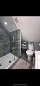 a bathroom with a shower and a toilet and a sink at Woodland lodge, apartment in Derry Londonderry